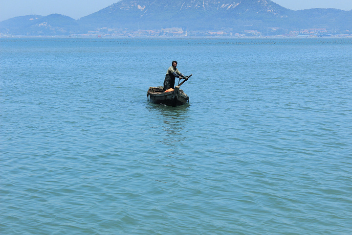 渔夫救援攻略(渔夫救援攻略大全)