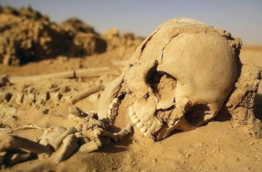 死亡区中文破解版(死亡区中文破解版下载)