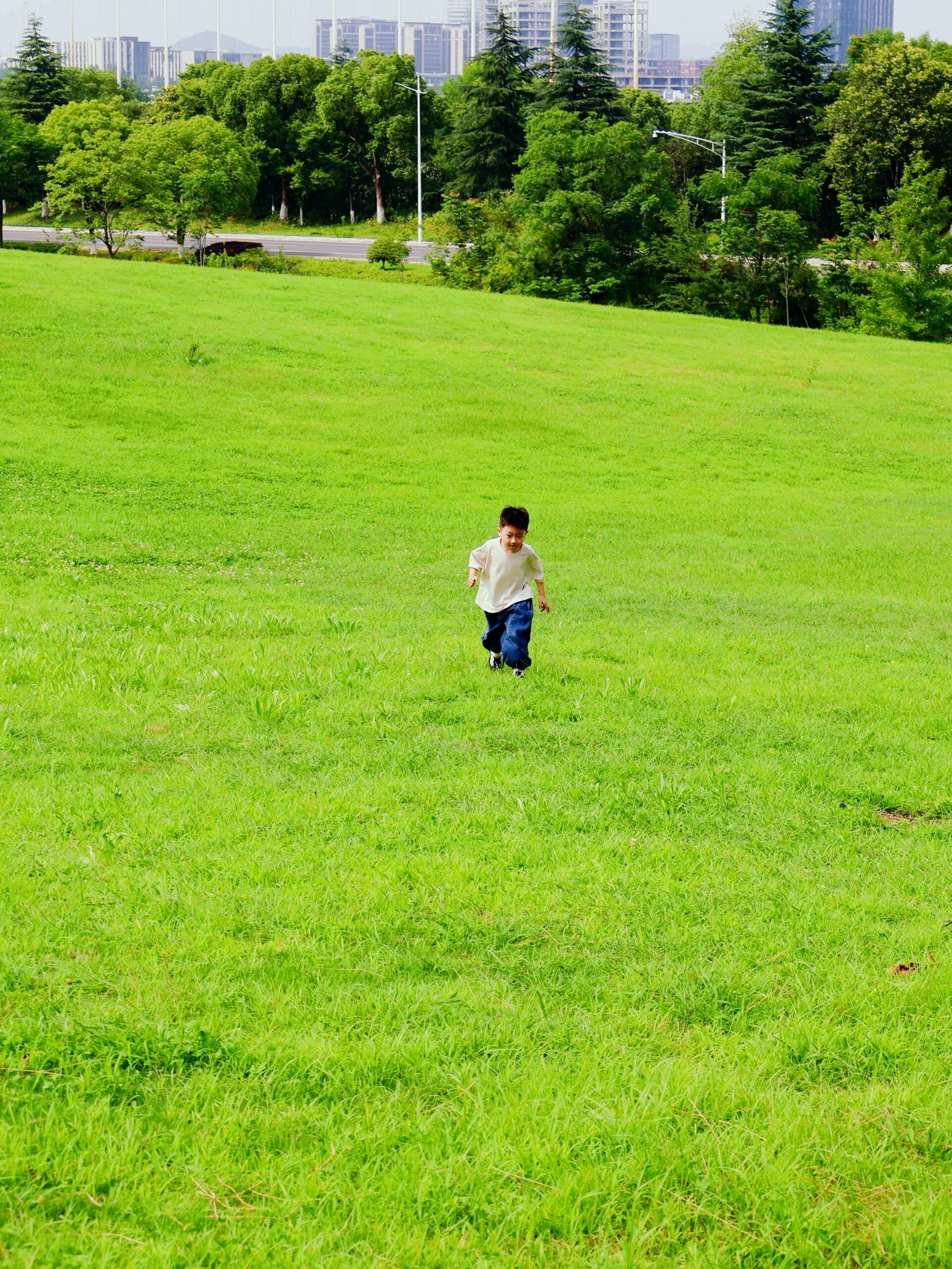 出逃计划攻略(出逃计划是什么意思)