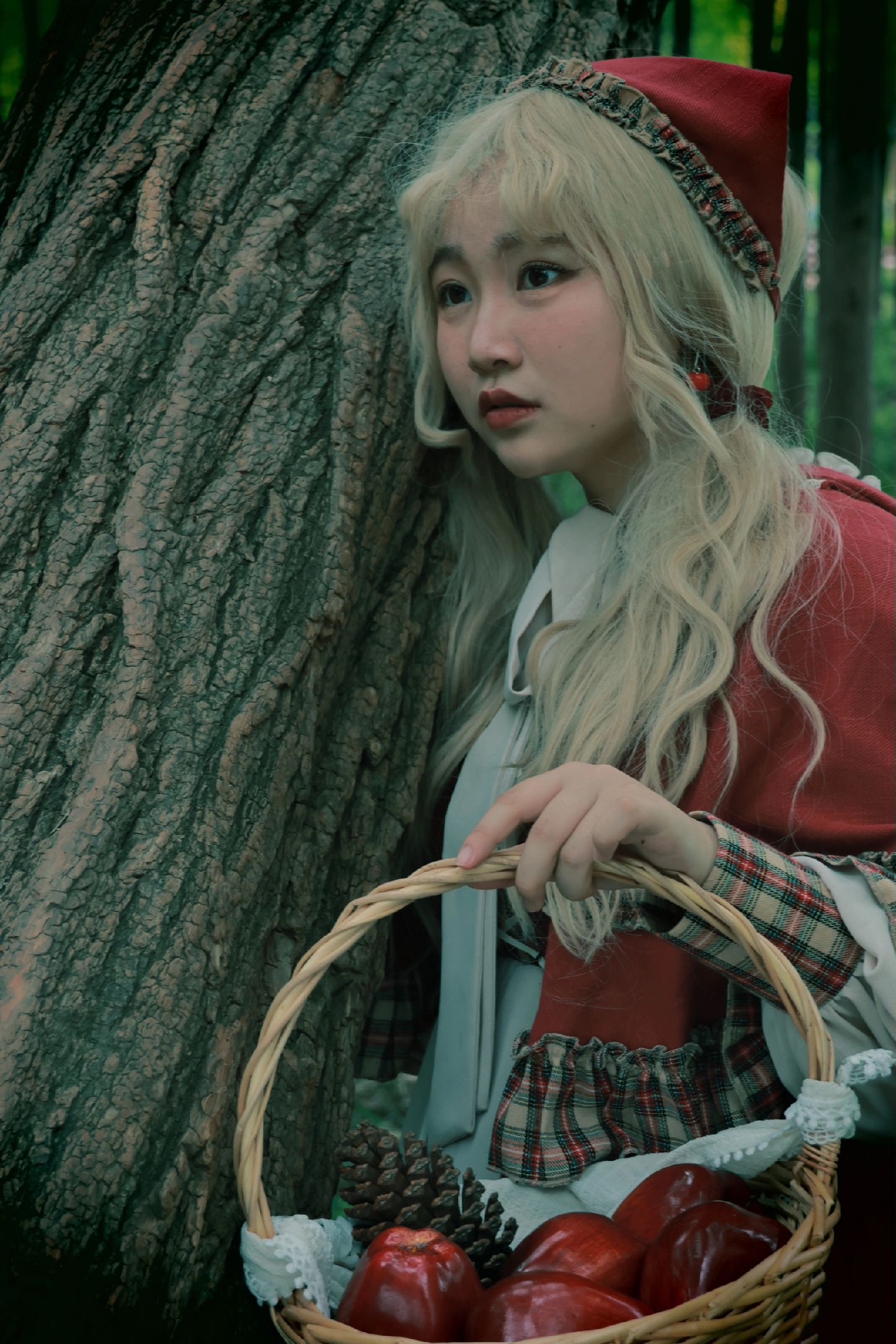 小红帽游戏攻略(小红帽游戏攻略视频)