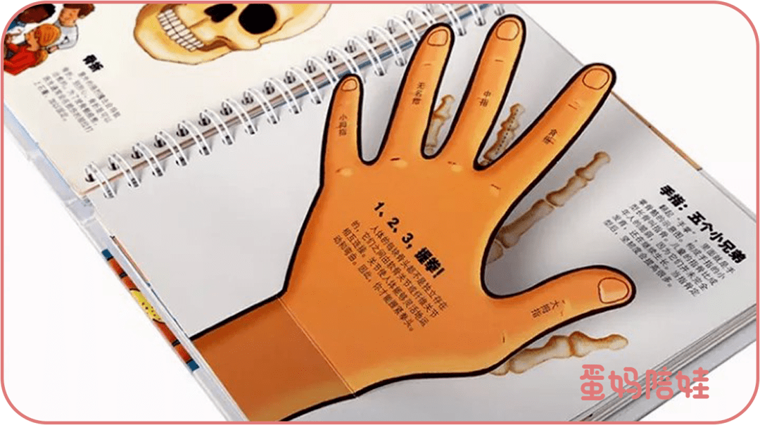 成长的秘密小游戏攻略(成长的秘密小游戏攻略图文)