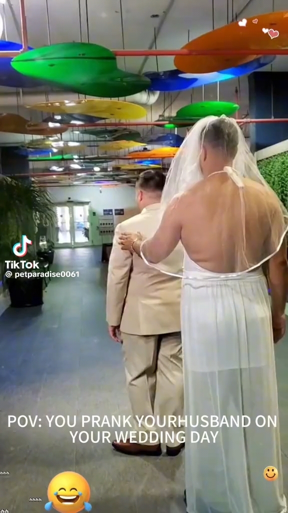 婚礼恶作剧攻略(婚礼恶作剧攻略大全)