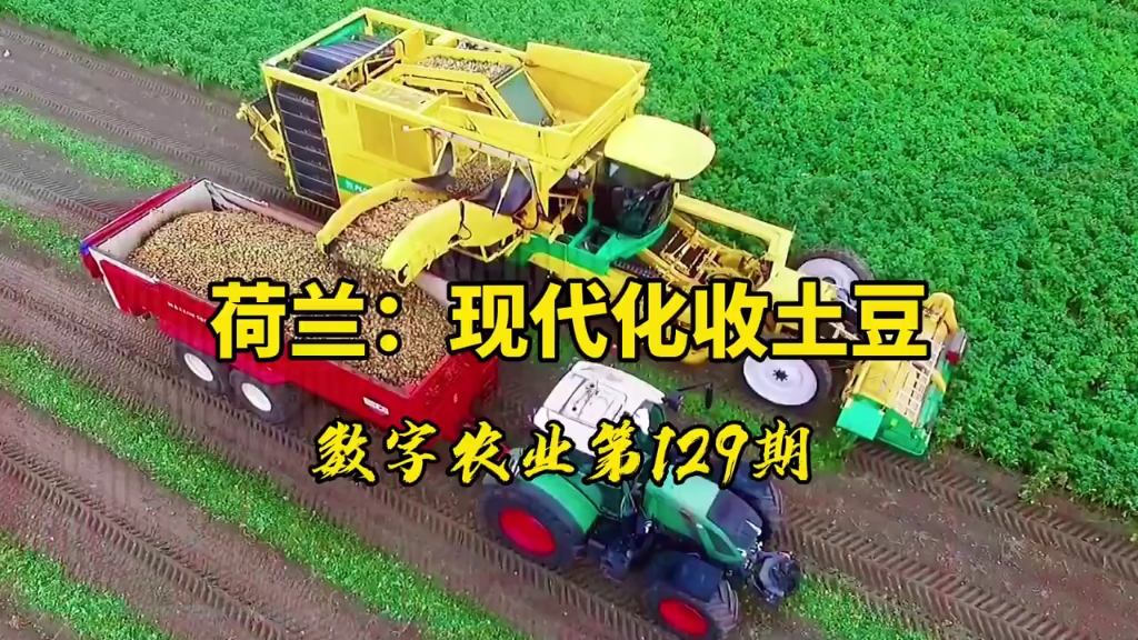 2025年9月24日 第148页