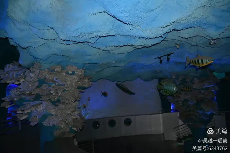 恐龙园惊魂地下城攻略(恐龙园惊魂地下城攻略图文)