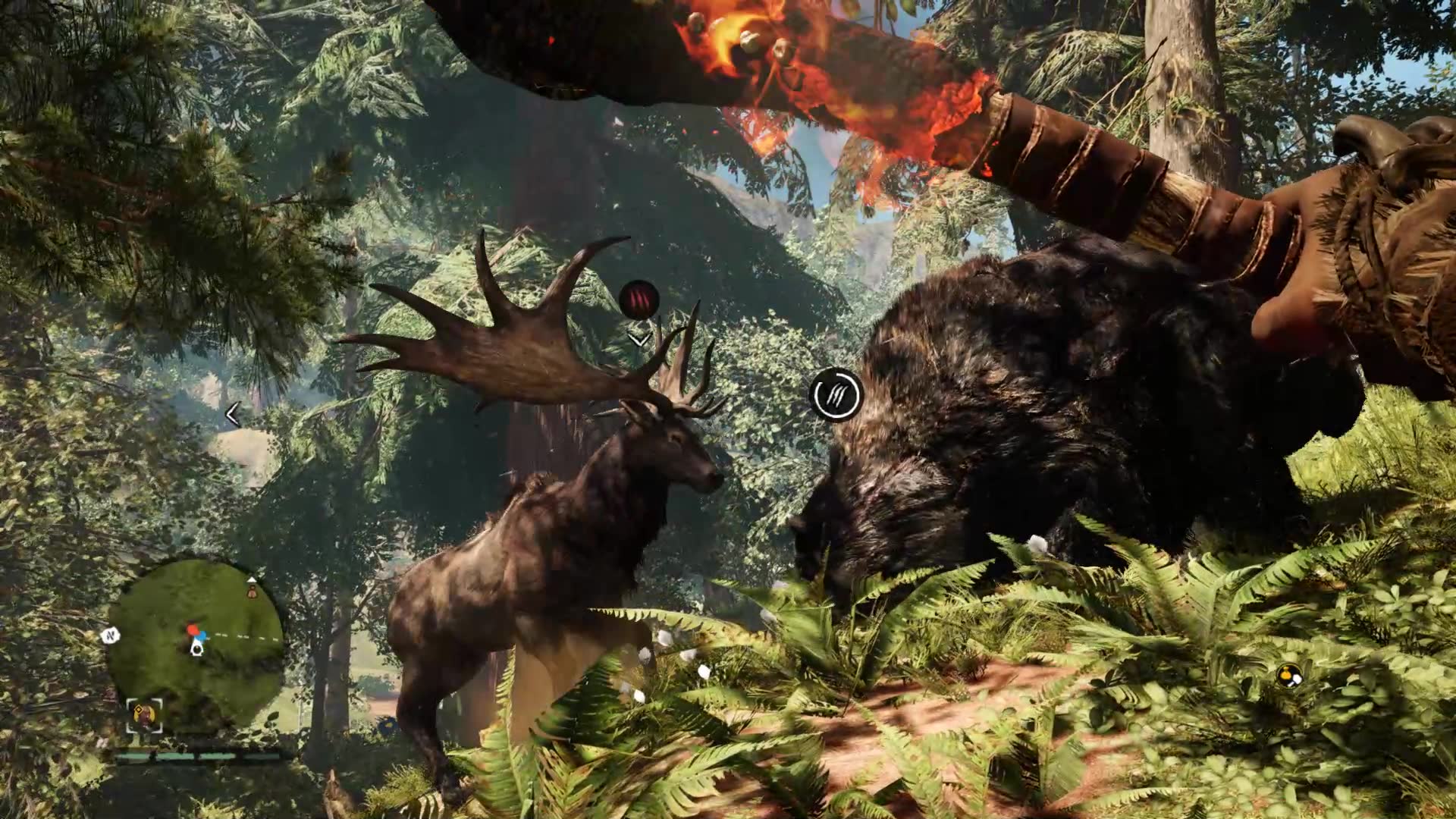 原始兄弟怎么下载地址(原始兄弟怎么下载地址视频)