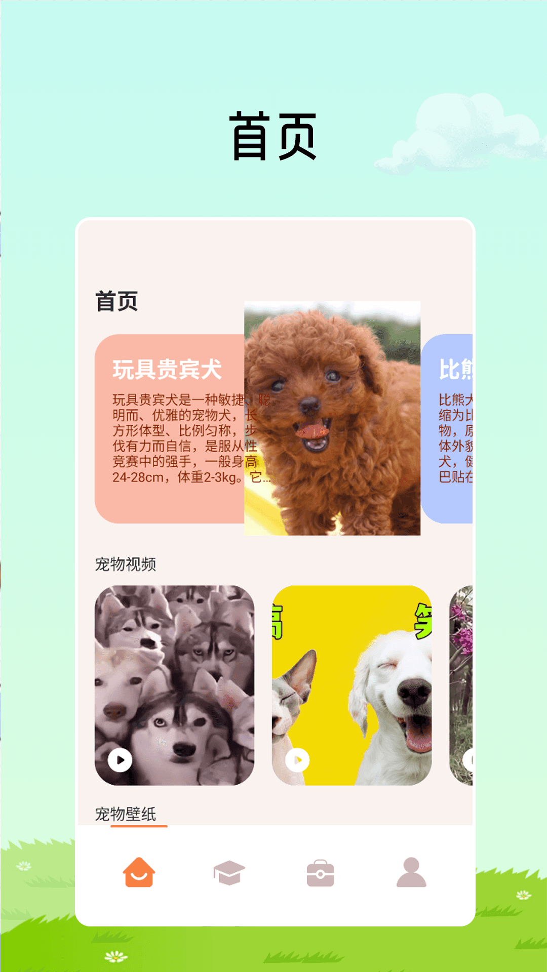 k猫咪破解版(猫咪破解版10)