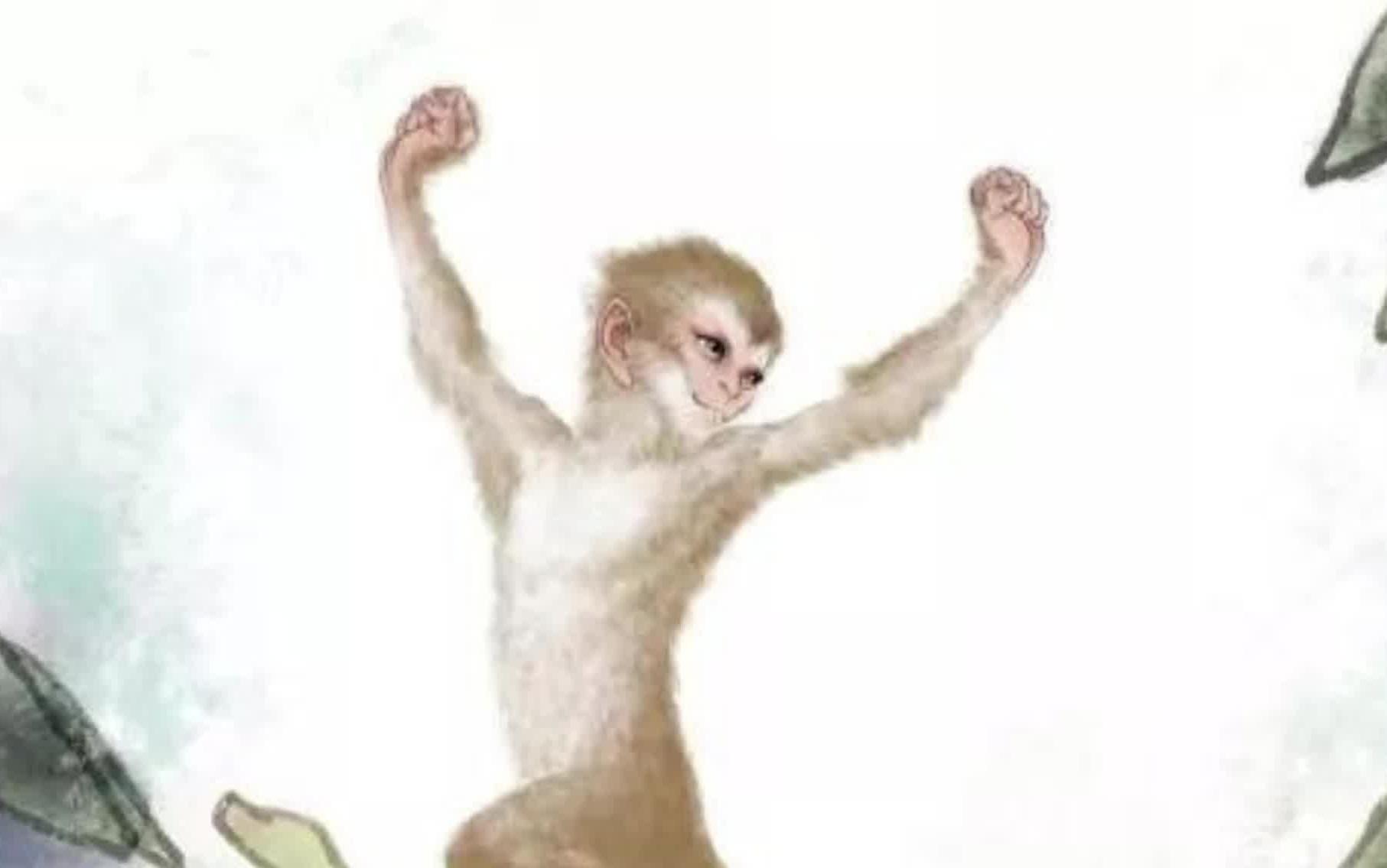 西游记之美猴王出世(西游记之美猴王出世原文)