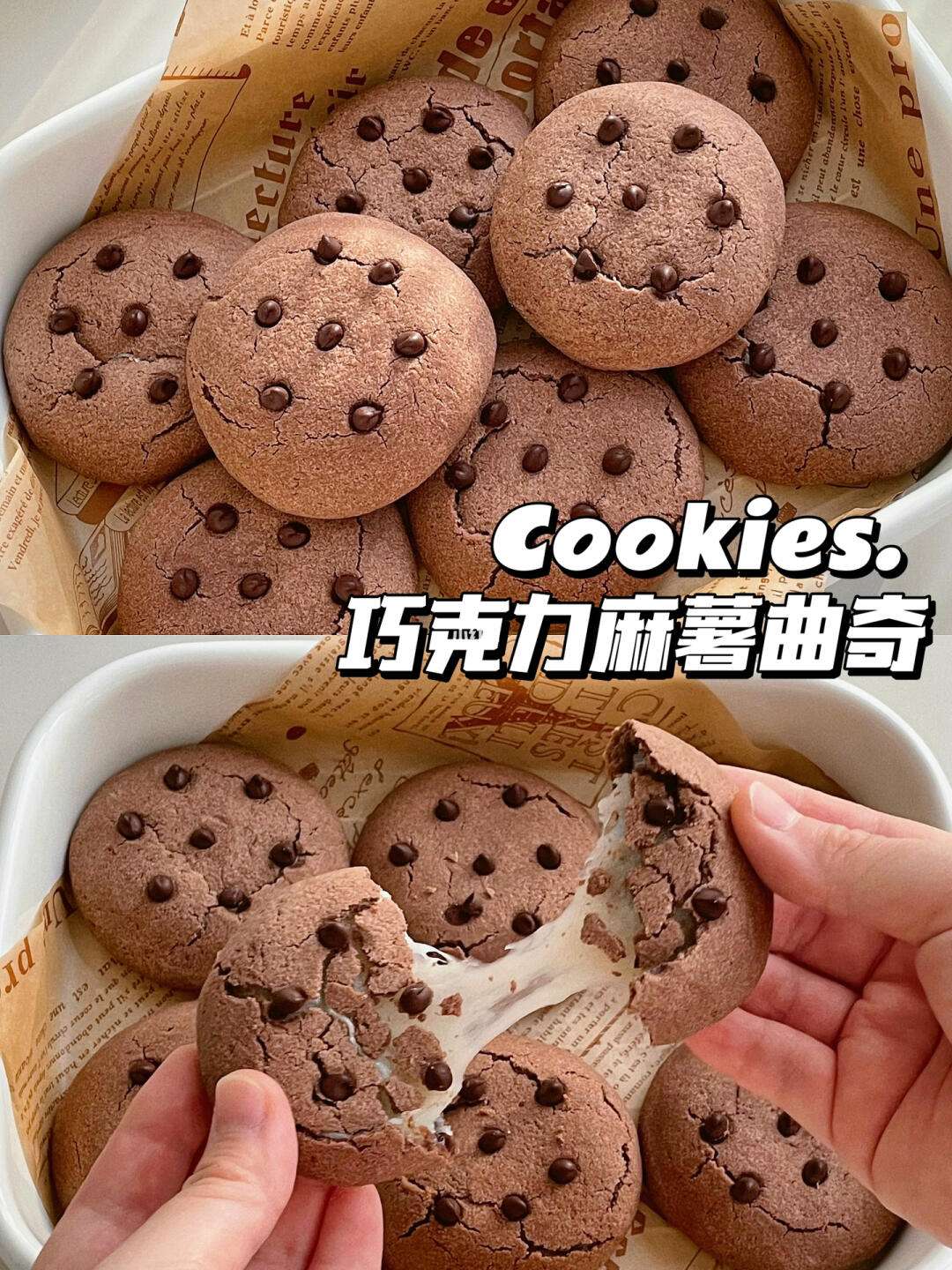 曲奇必须死破解版下载(曲奇必须死哪个人物厉害)