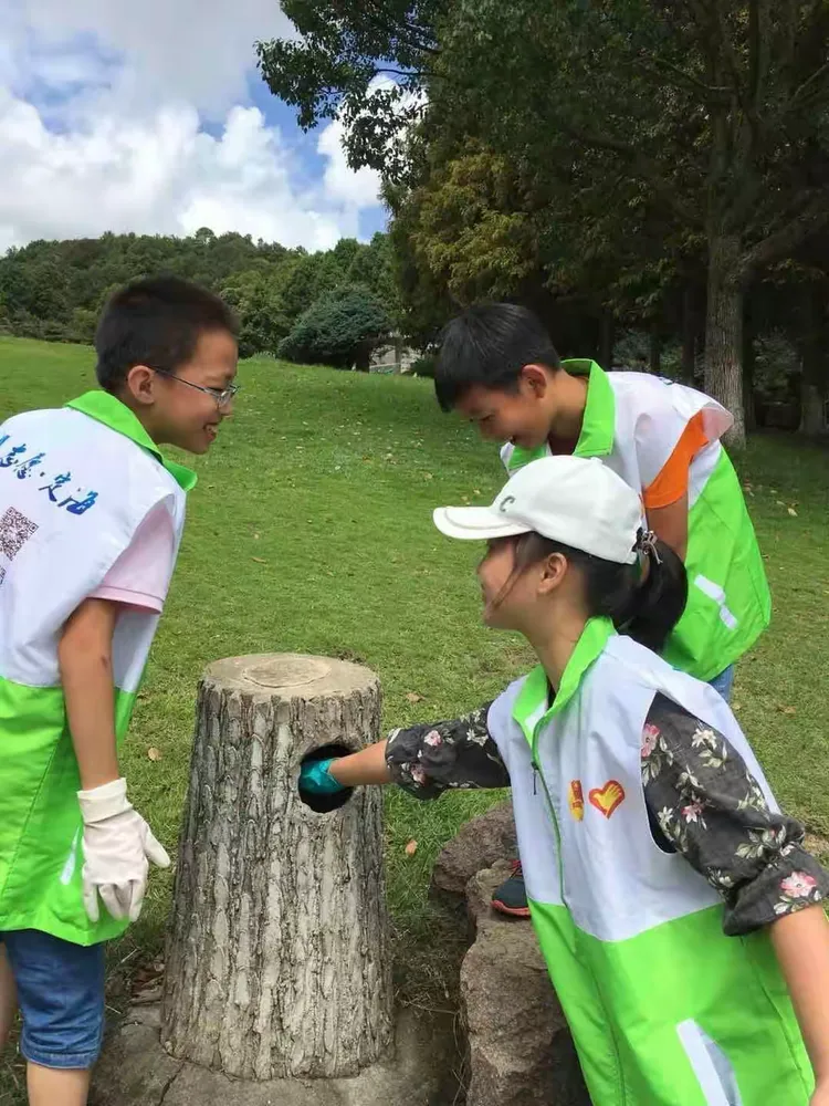 小小绿色城游戏攻略(小小绿衣裳是什么歌曲)