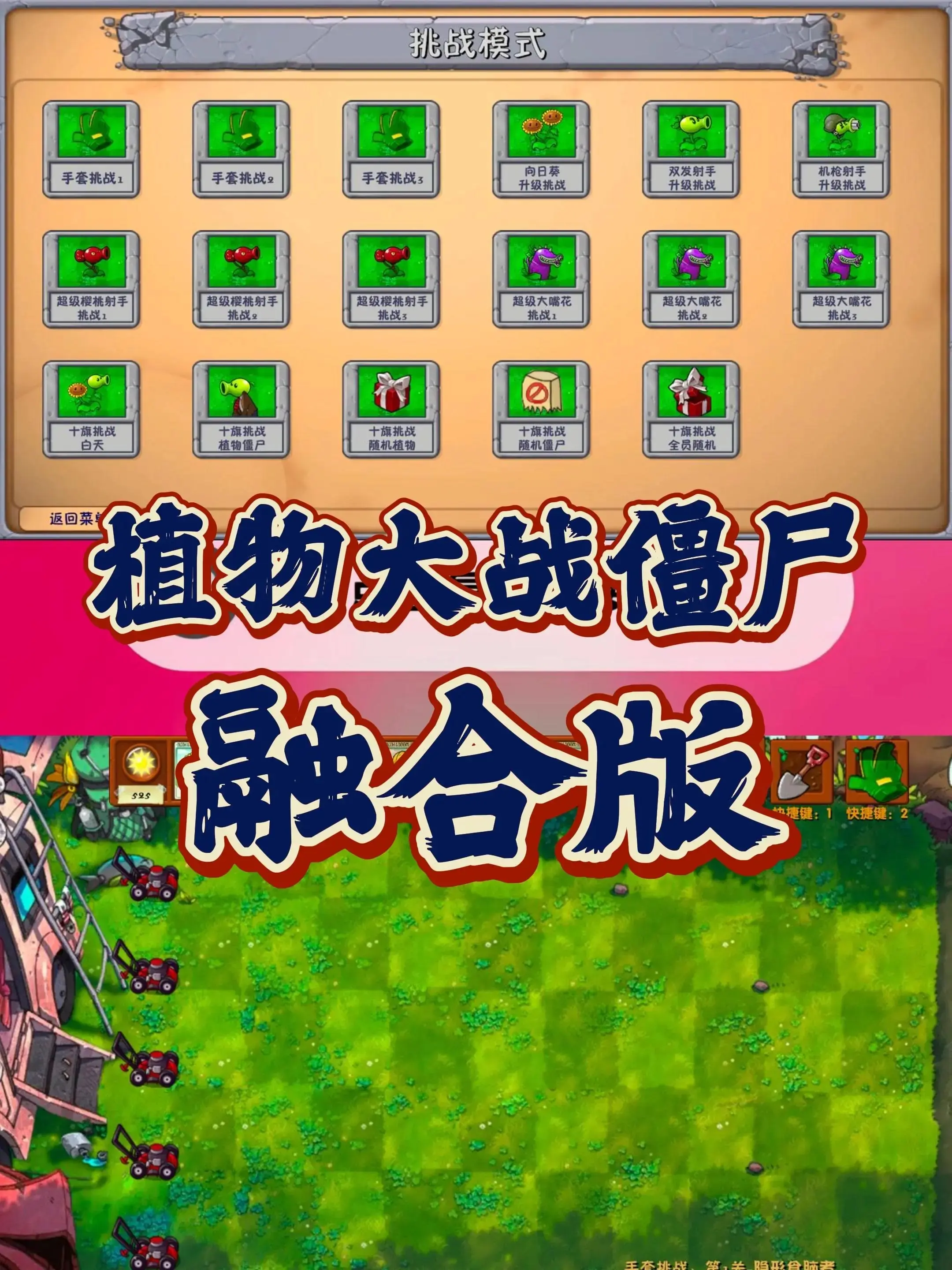 2025年9月25日 第14页