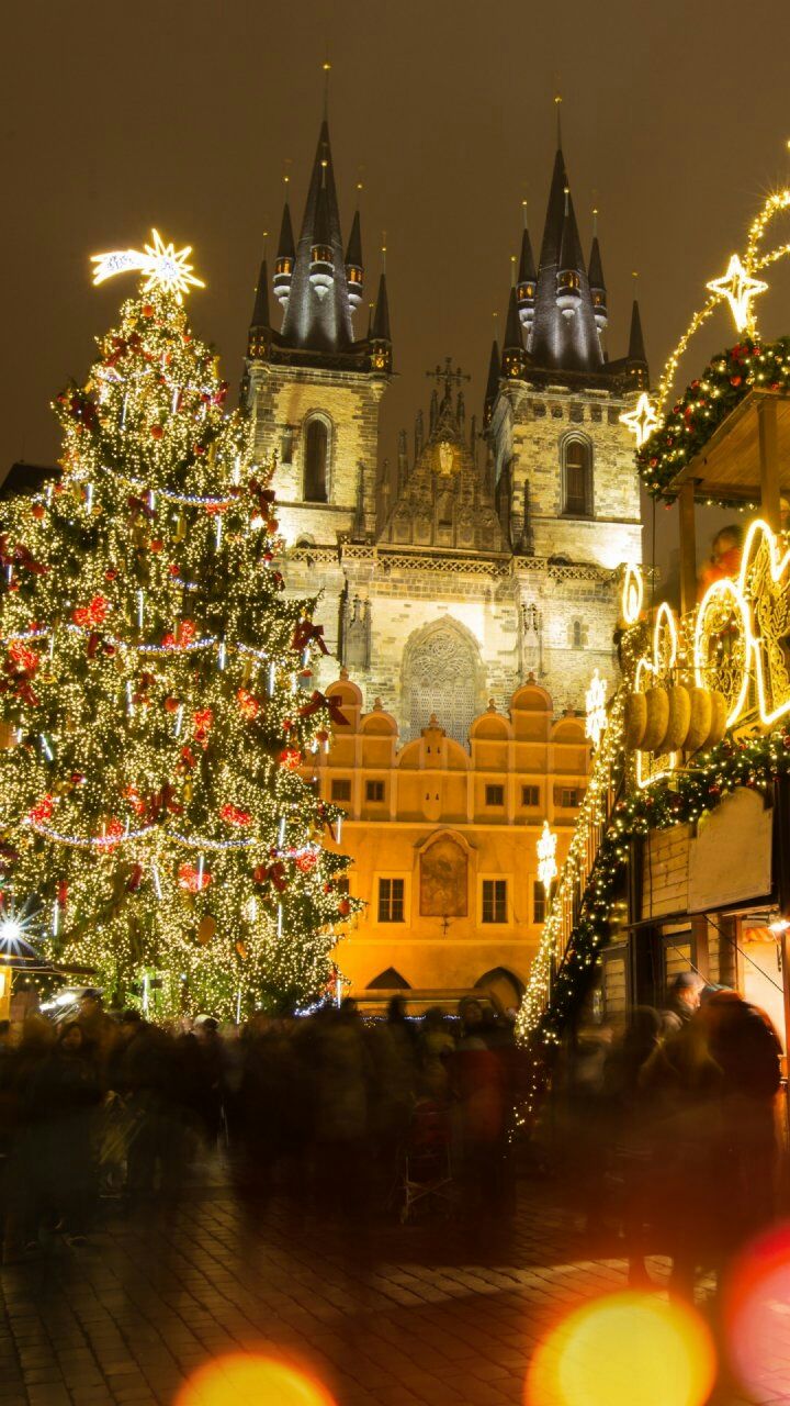 雯雅婷1攻略(雯雅婷4攻略结局)