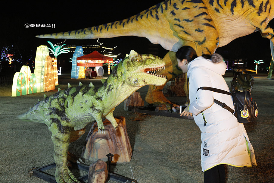 龟友之家梦幻侏罗纪(侏罗纪梦幻世界主题乐园)