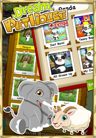 宠物游戏破解版.(宠物养成类游戏破解版)