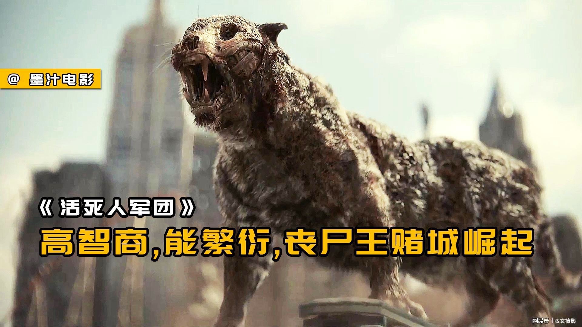 军团冲突王国崛起破解版(军团冲突王国崛起安卓内购)