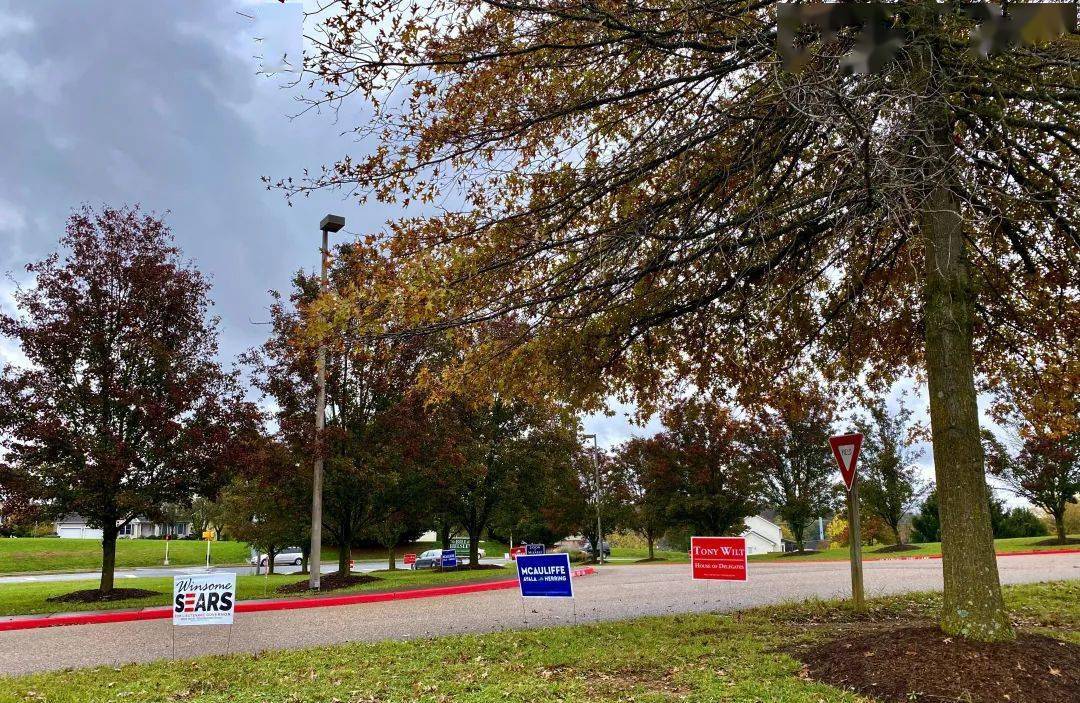选举日破解版(选举大作战安卓)