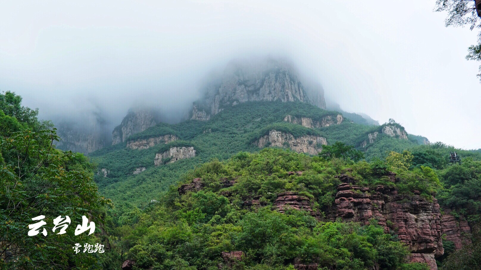 2025年9月27日 第175页