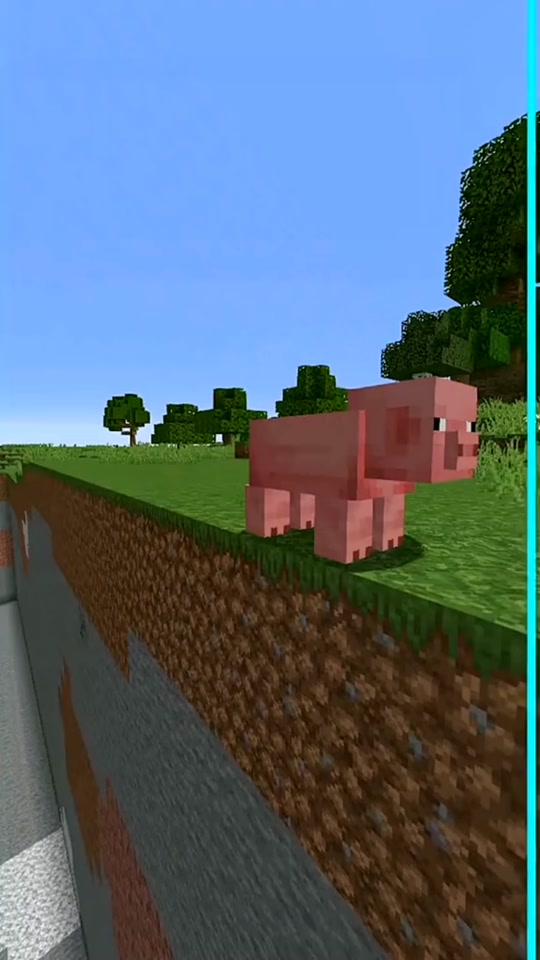 我的世界三国赤壁猪仙(我的世界三国赤壁猪仙攻略)