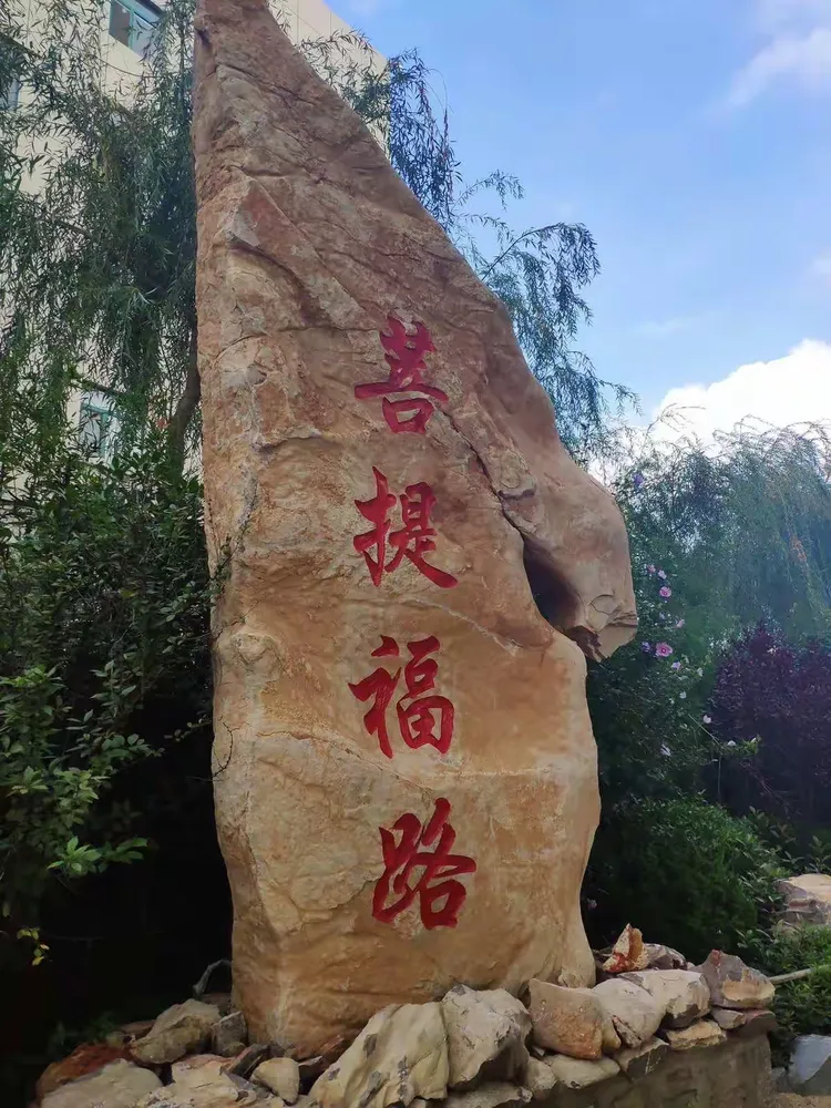 半生菩提半生荼蘼攻略(半生荼蘼半生寂怎么解释)