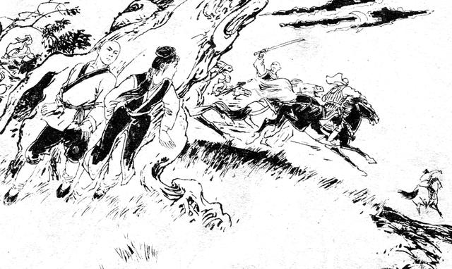 秃鹫逃脱攻略(秃鹫在哪里寻找食物)