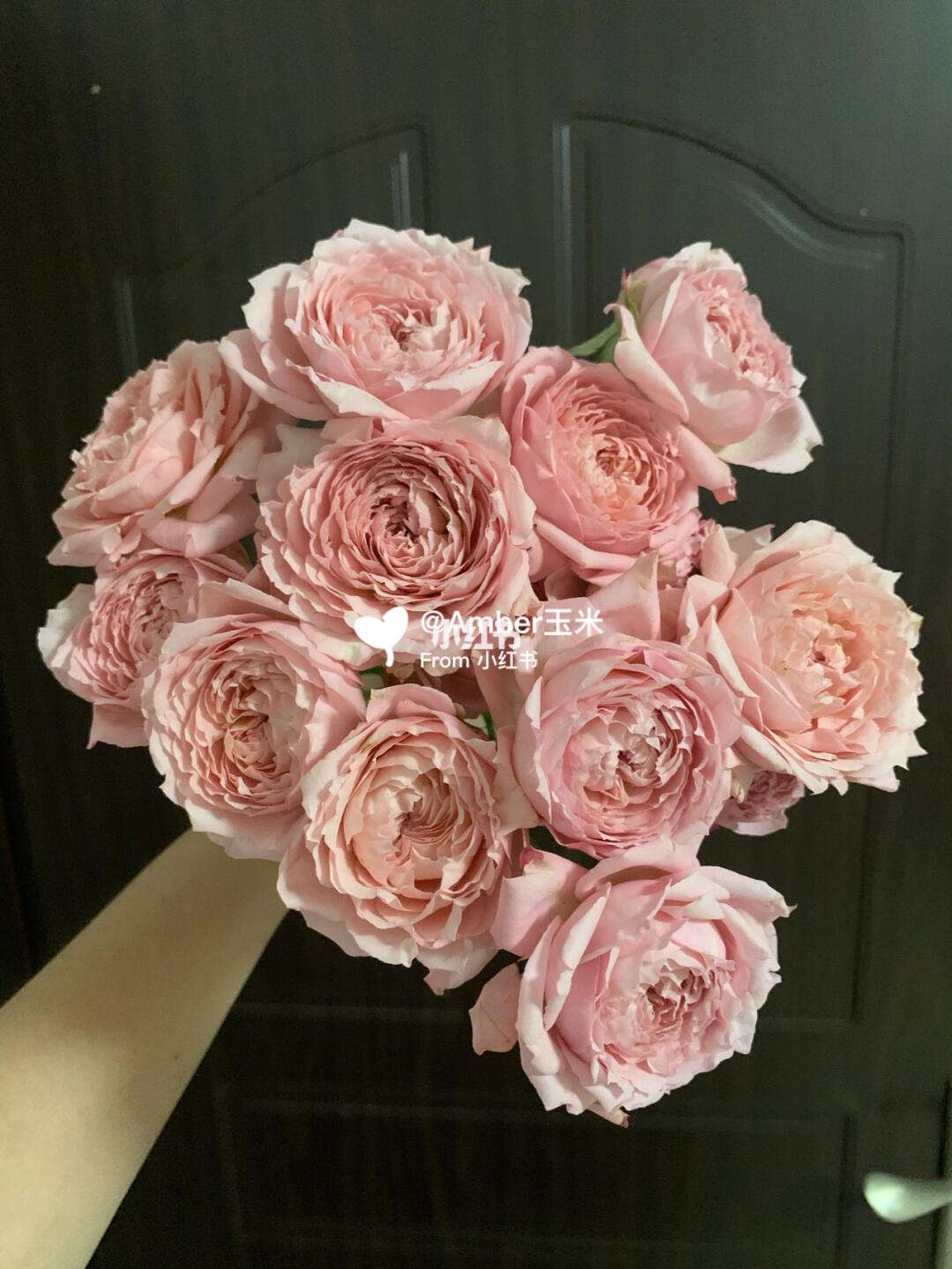 2025年9月27日 第23页