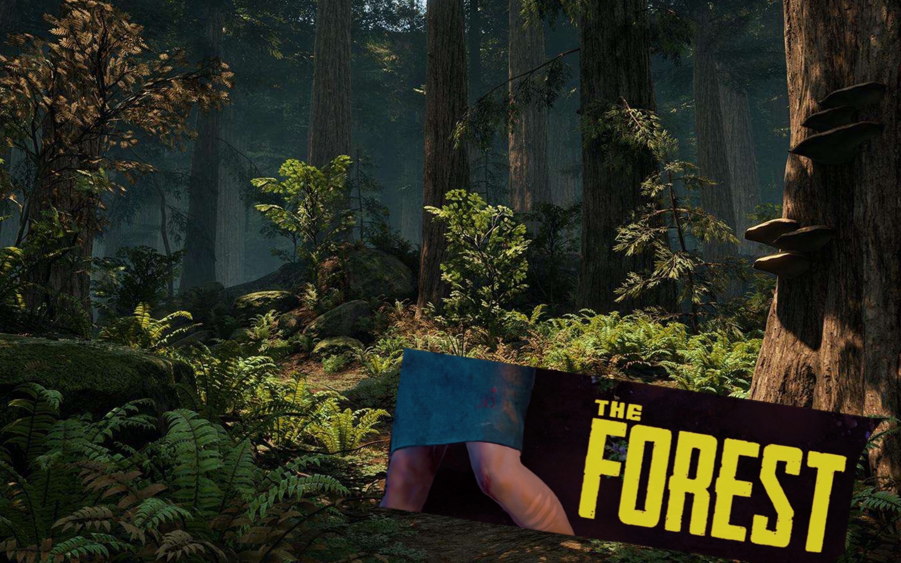 森林游戏攻略视频(森林游戏攻略视频教程)