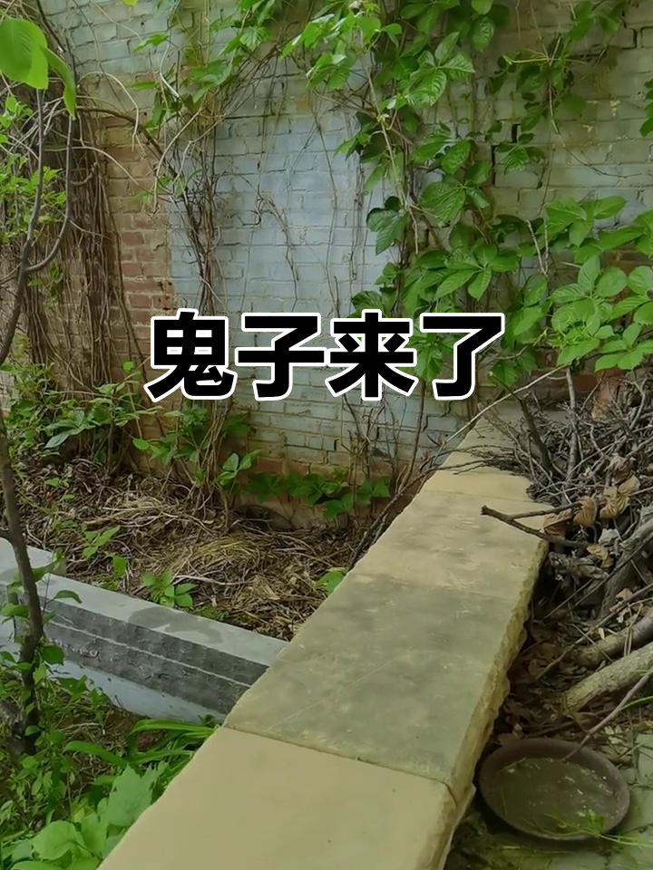 鬼子进村破解版.(鬼子进村破解版内购版)