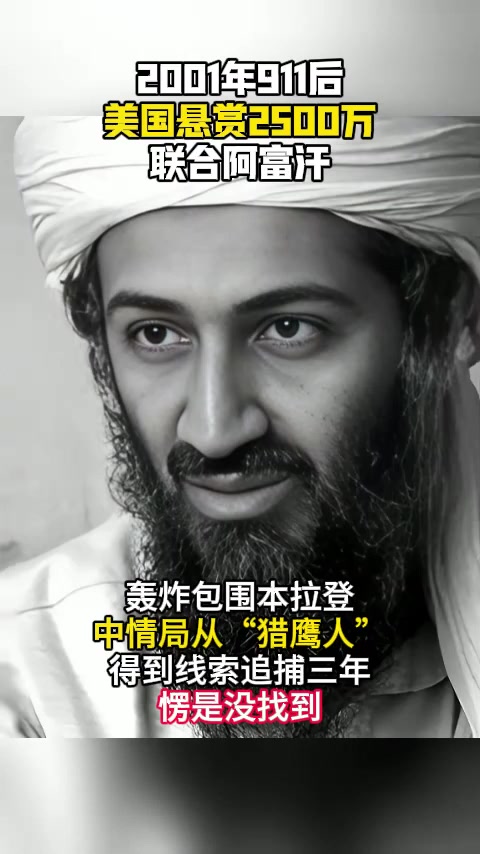 cf本拉登(本拉登的aks74u)