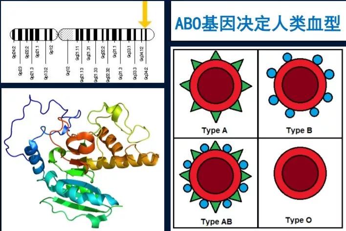 2025年9月28日 第103页