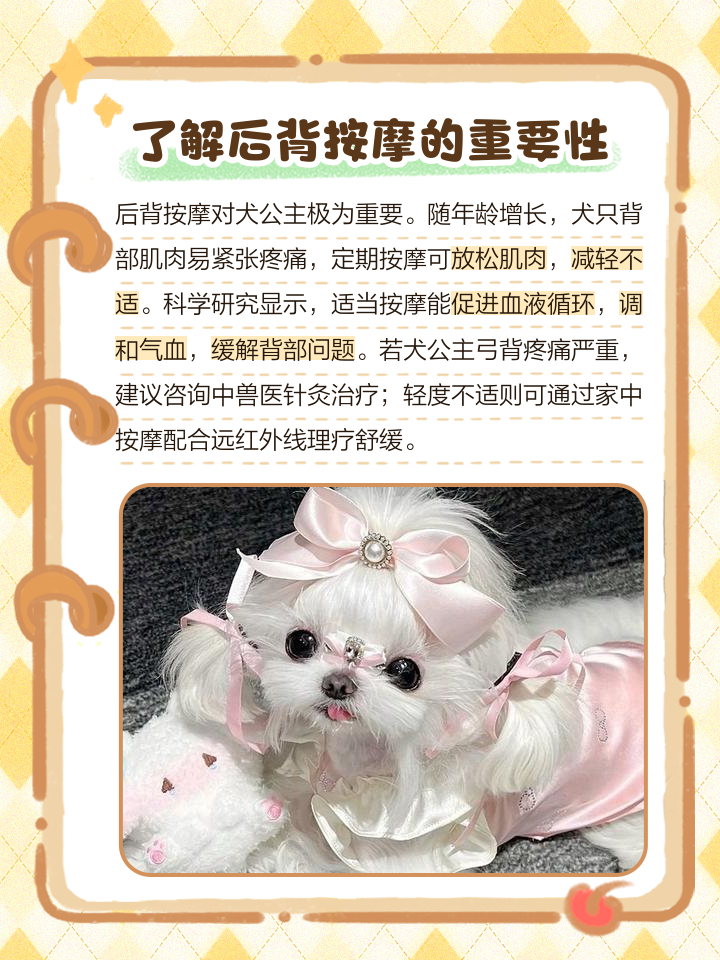 犬公主剧情破解版(犬公主104破解)