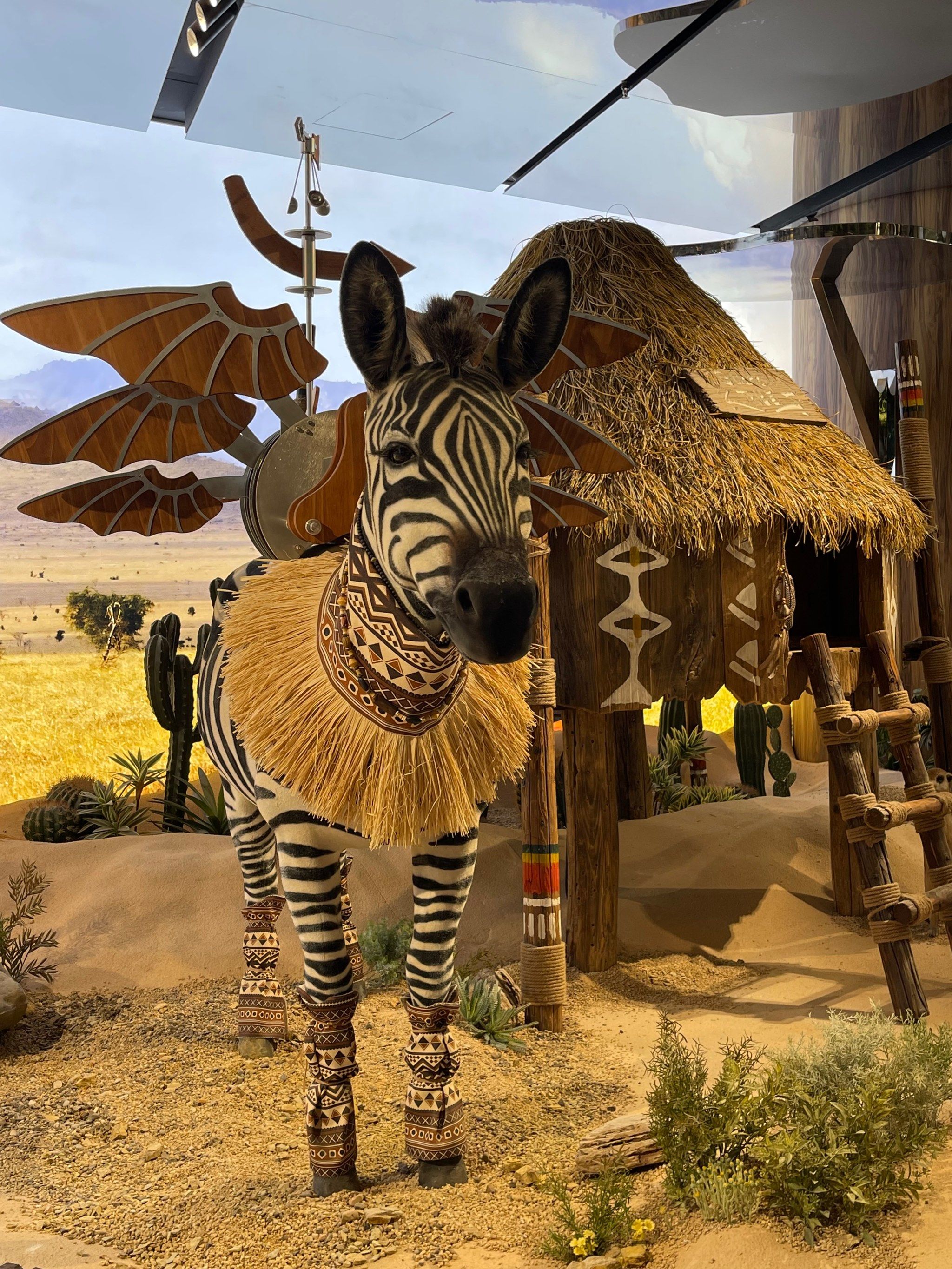 原始部落寻宝攻略(原始部落寻宝攻略大全)