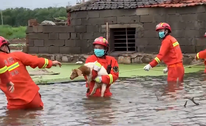 羊狼接力攻略(羊狼棋狼怎么赢)
