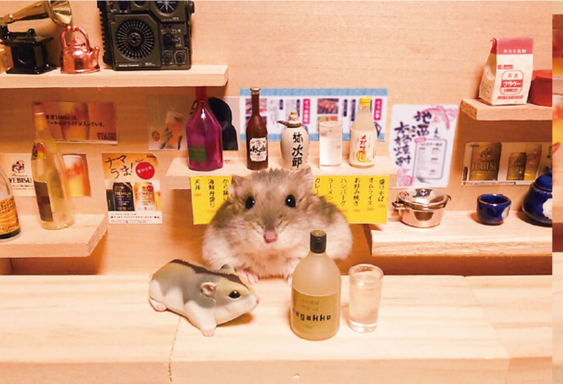 仓鼠餐厅破解版(仓鼠酒店游戏在线玩)