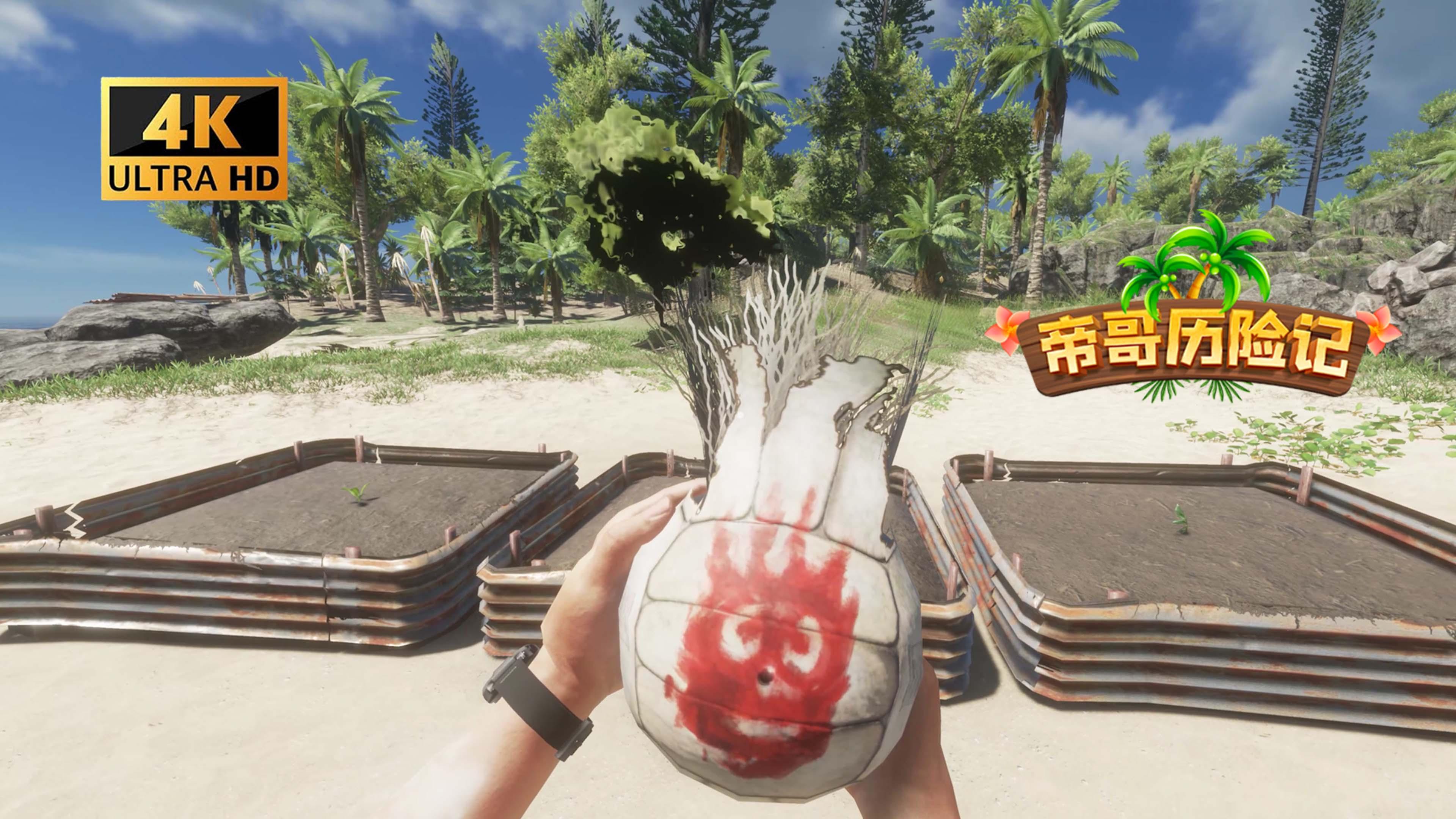 荒岛生存2游戏攻略(荒岛生存游戏攻略三种宝石怎么获得)