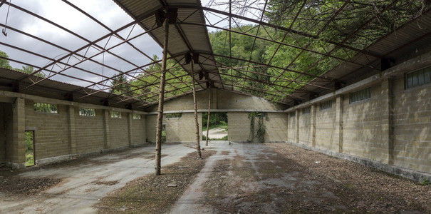 逃出闹鬼废墟攻略(逃出闹鬼的学校游戏攻略)