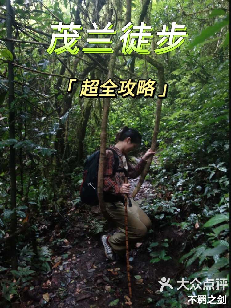 被困无人森林攻略(无人森林任务怎么做)