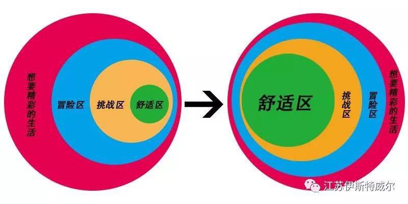 逃出舒适森林的攻略(逃出舒适森林的攻略视频)