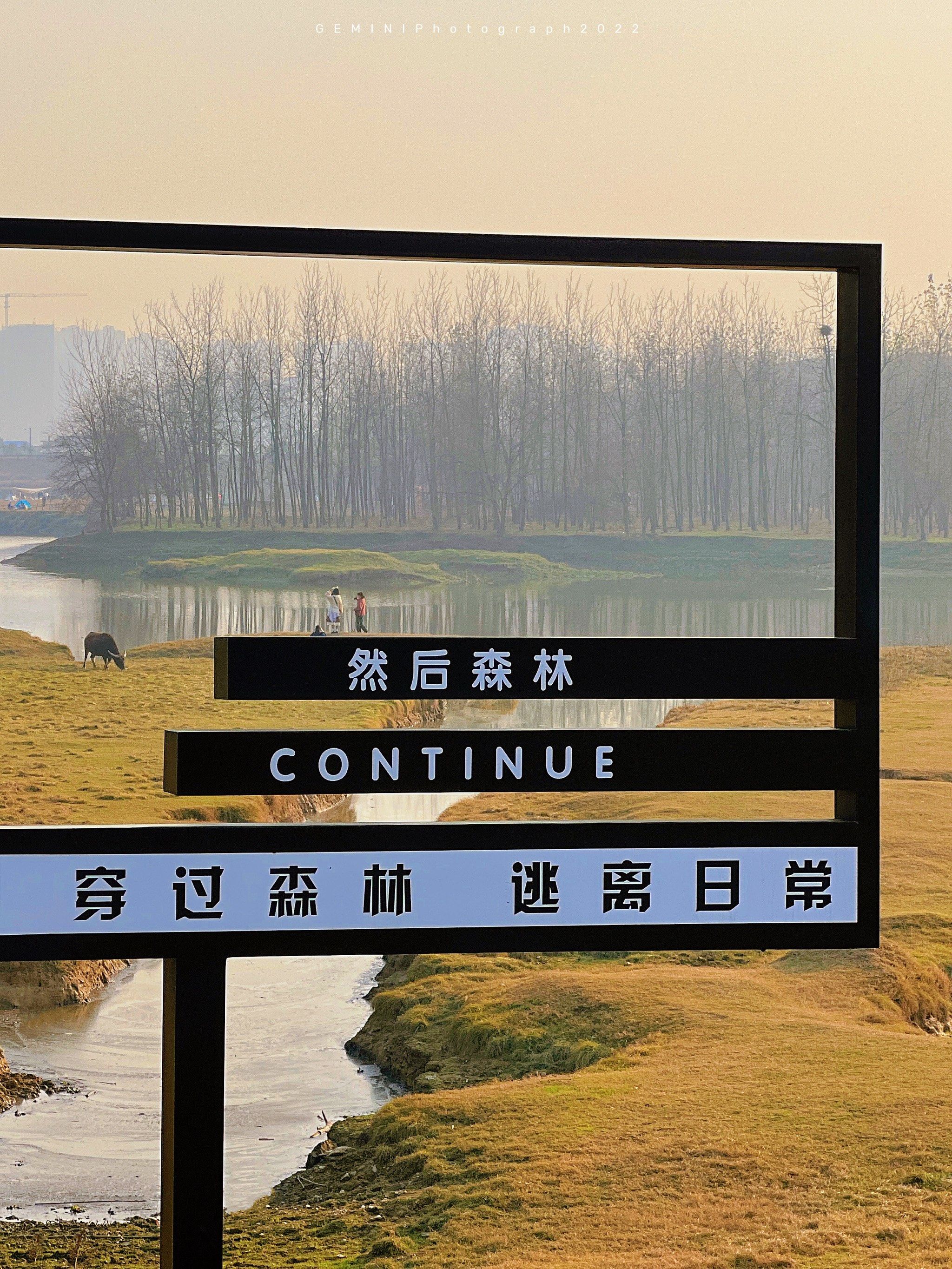 逃出舒适森林的攻略(逃出舒适森林的攻略视频)