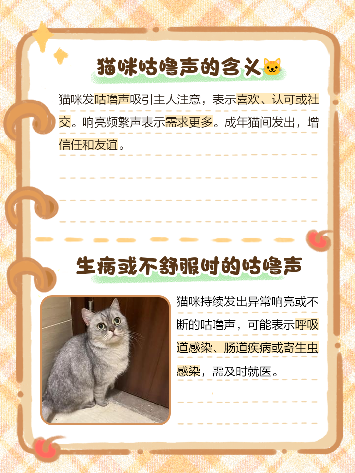 猫咪咕咚视频破解版(猫咪咕咚视频破解版下载)