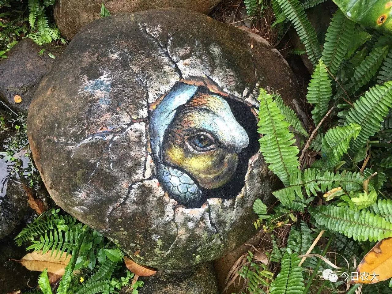 搜寻恐龙蛋攻略(找到恐龙蛋的照片)