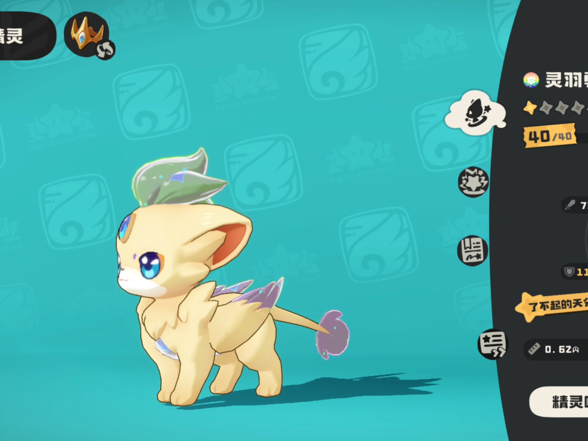 洛克王国翼系宠物大全(洛克王国翼系宠物大全推荐)