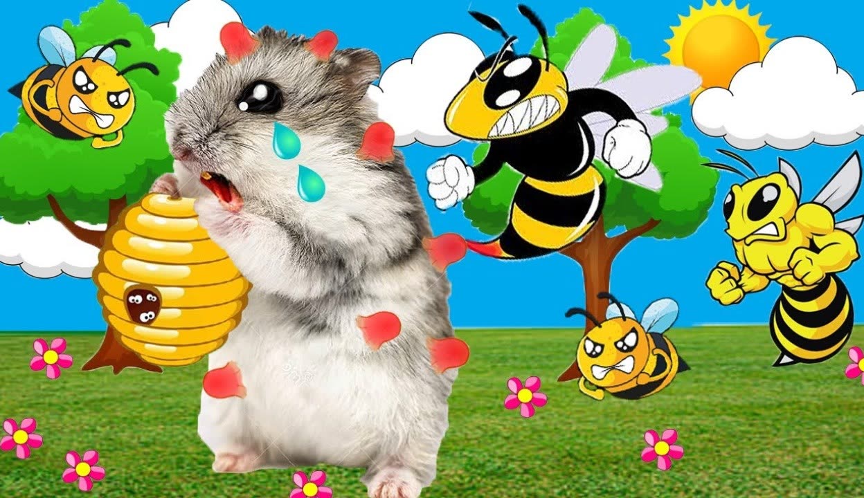 全民萌宠迷宫攻略(全民萌宠迷宫攻略大全)