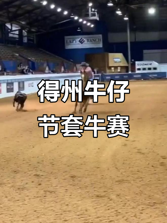 疯狂套牛破解版(疯狂套牛游戏手机版)