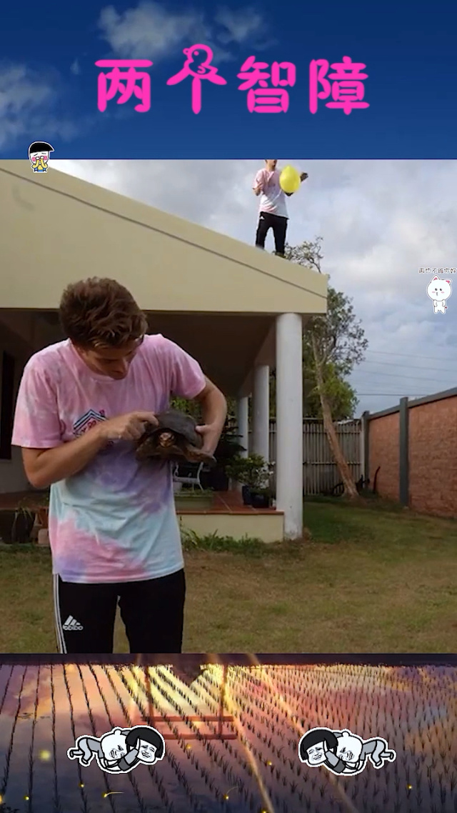 智障的我攻略(我智障是什么意思)