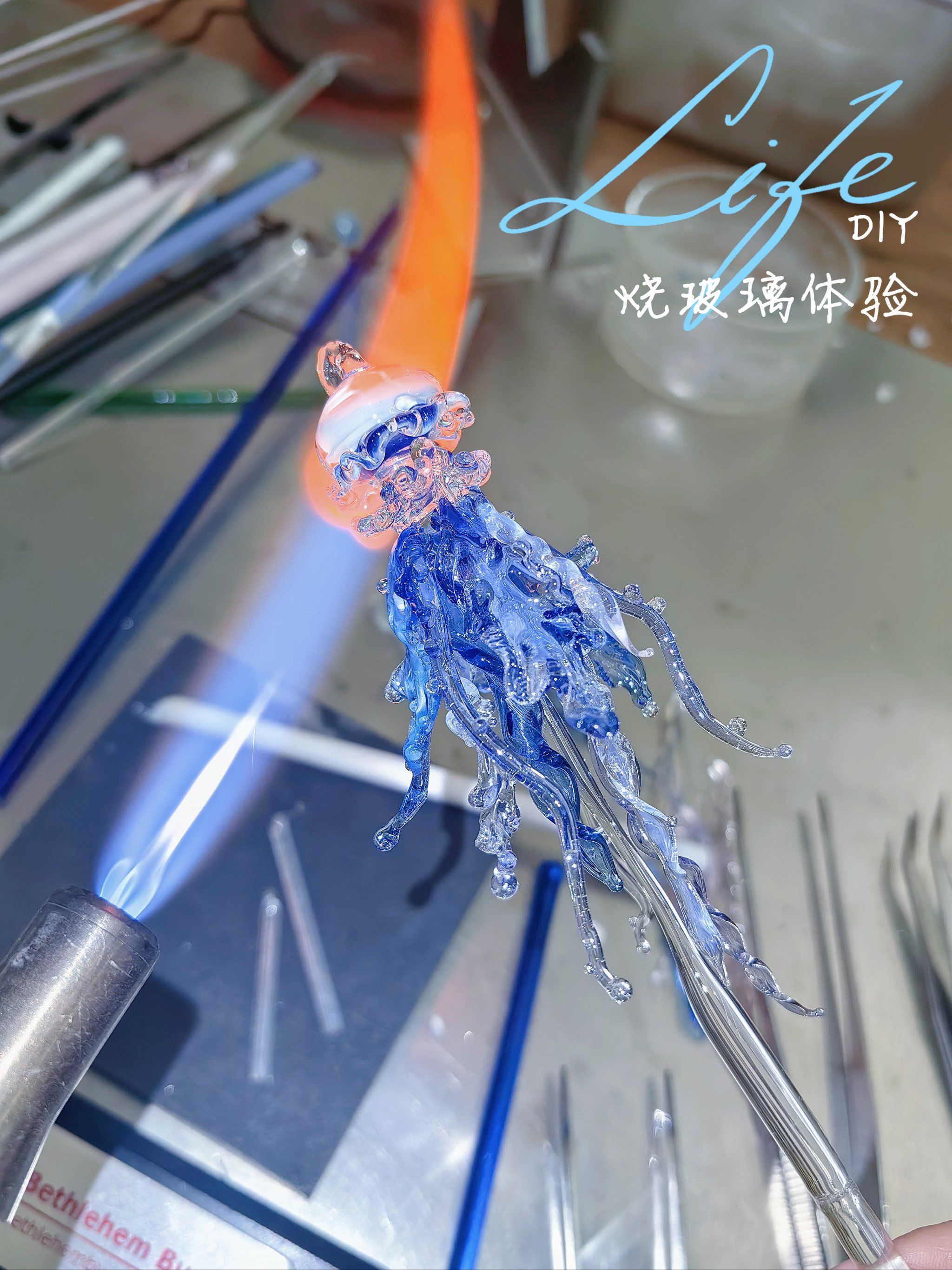 洛克王国玻璃水母(洛克王国水王怎么弄)