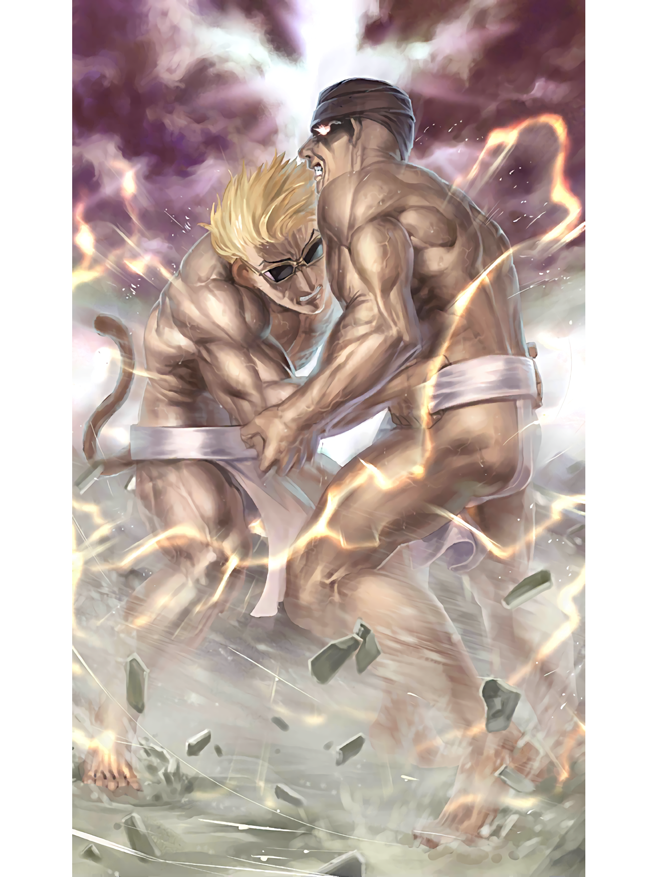 相扑游戏破解版(相扑模拟器中文版下载)