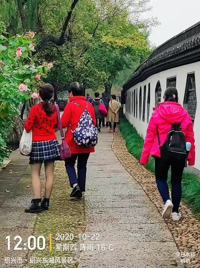 古井寻宝逃生攻略(古井寻宝逃生攻略视频)