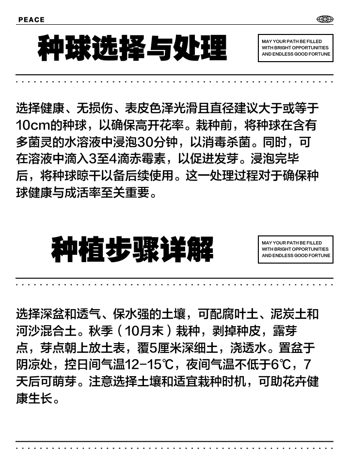 繁殖季节攻略(繁殖季节安卓汉化版下载)