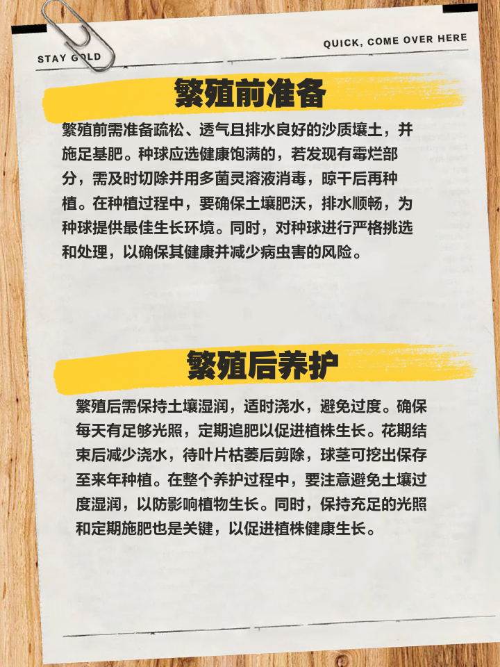 繁殖季节攻略(繁殖季节安卓汉化版下载)