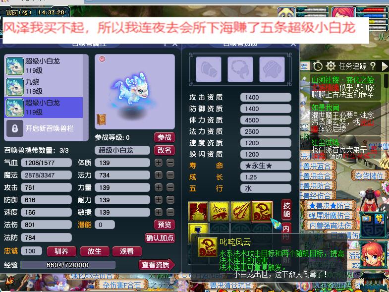 梦幻西游超级小马(梦幻西游小马是什么)