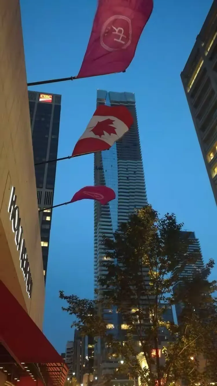 搞笑枫叶王国(搞笑枫叶王国视频)